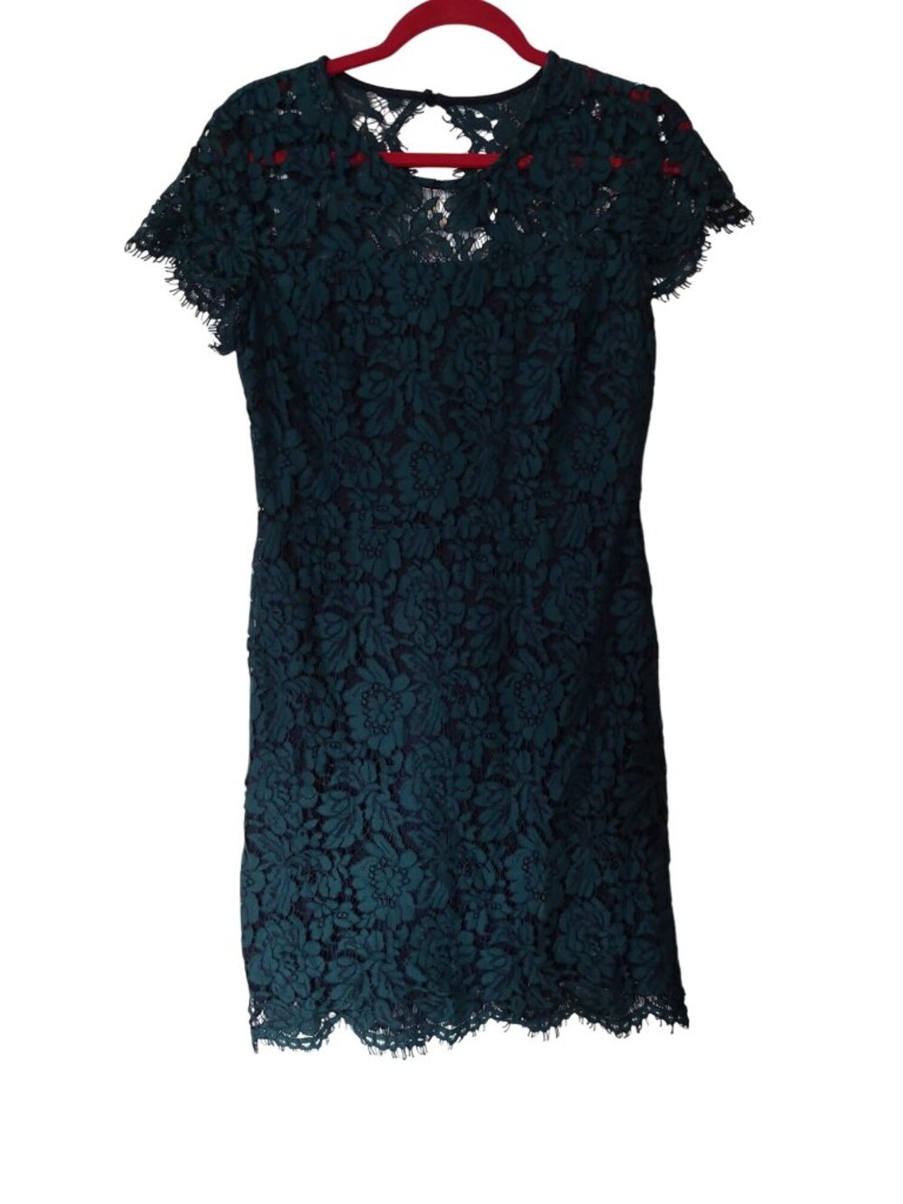 Banana Republic Green Lace Short Sleeve Dress Size 4 Nylon Cotton Lined Scallope